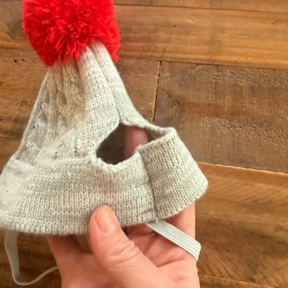 Cat Santa Hat